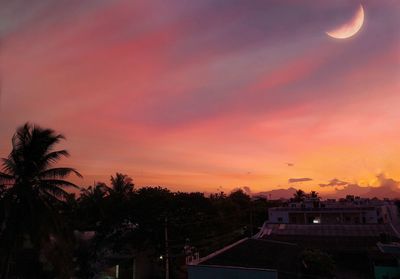 Silhouette trees and buildings against sky during sunset