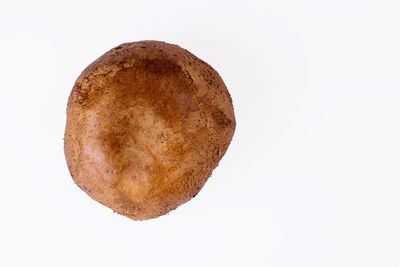 Directly above shot of bread against white background