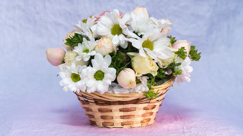 Close-up of white flowering plant in basket on table