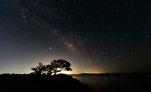 Silhouette trees against sky at night