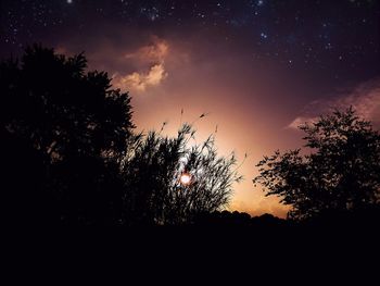 Low angle view of silhouette trees against sky at sunset