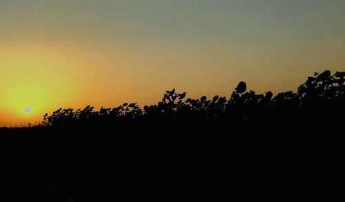 Silhouette trees against clear sky during sunset