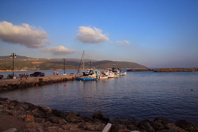 Sailboats moored in marina