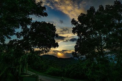 Low angle view of silhouette trees against sky at sunset