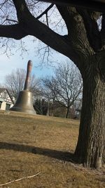 Bare trees against sky