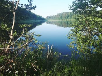 Scenic view of lake in forest against sky