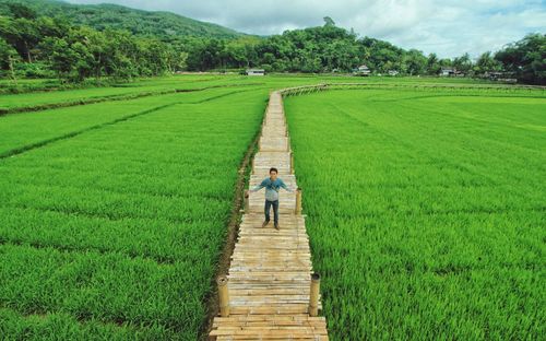High angle view of man with arms outstretched standing on boardwalk amidst agricultural field