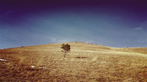 Scenic view of landscape against clear sky