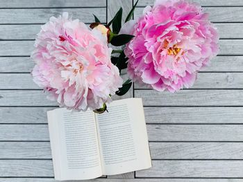 High angle view of pink flower on table