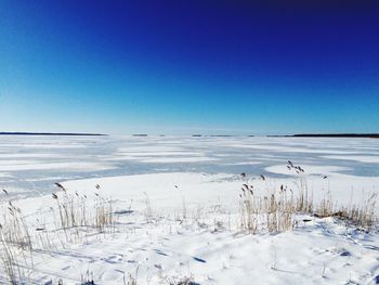 Scenic view of snow covered land against clear blue sky