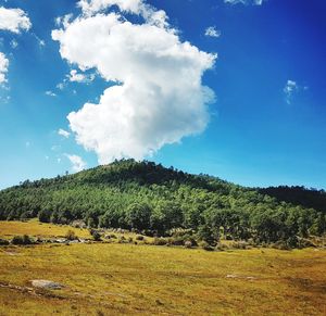 Scenic view of green landscape against blue sky