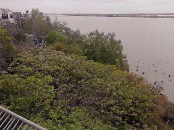 View of calm lake against trees