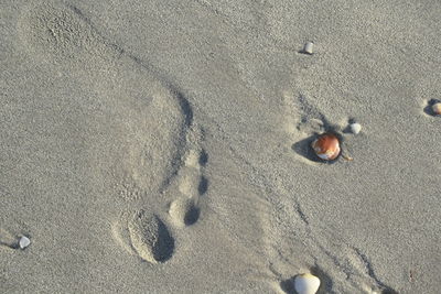 High angle view of footprints on sand at beach