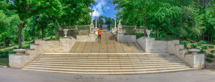 Rear view of people on staircase by trees