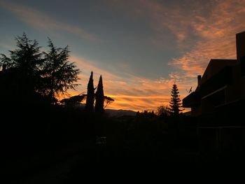 Low angle view of silhouette trees against sky at sunset