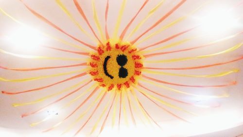 Full frame shot of white flower