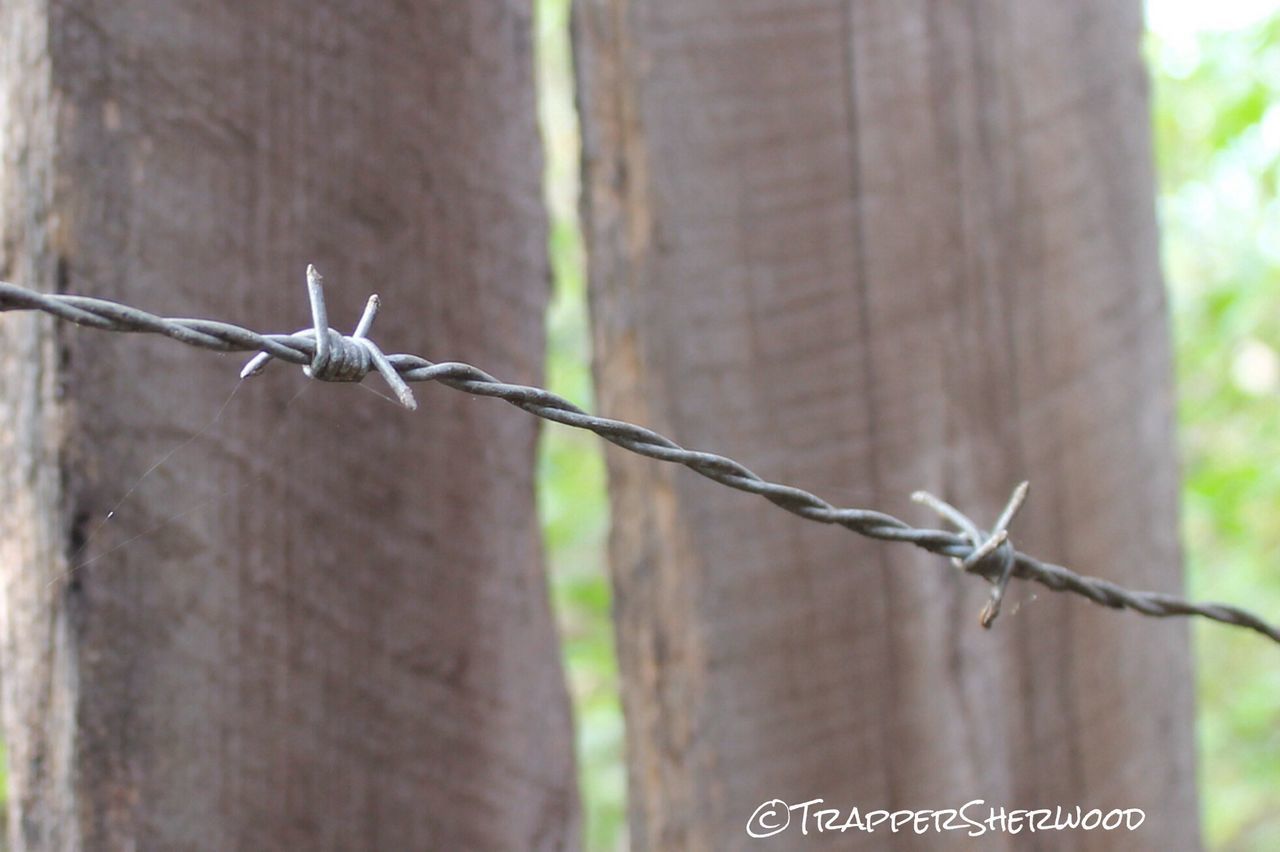 CLOSE-UP OF BARBED WIRE AGAINST BLURRED BACKGROUND