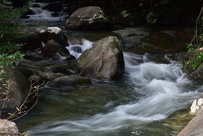 Scenic view of waterfall in forest