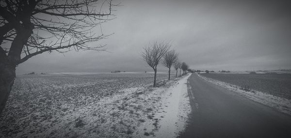 Road amidst bare trees on field against sky during winter