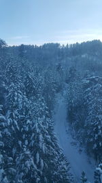 Footpath amidst snow covered trees against sky during winter