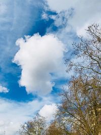 Low angle view of trees against blue sky