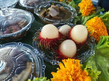 High angle view of various flowers in container