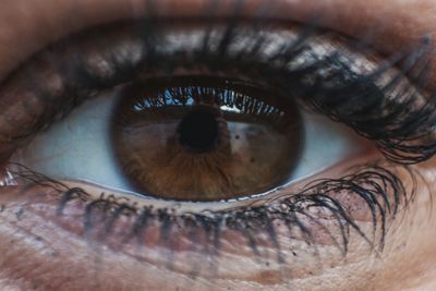 Close-up portrait of human eye