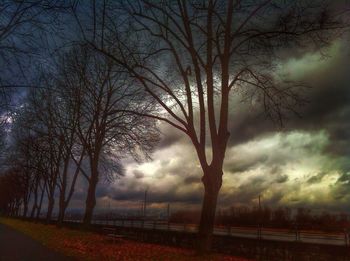 Bare trees on field against cloudy sky