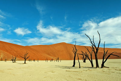 Scenic view of desert against cloudy sky