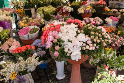 Multi colored roses in flower for sale at market