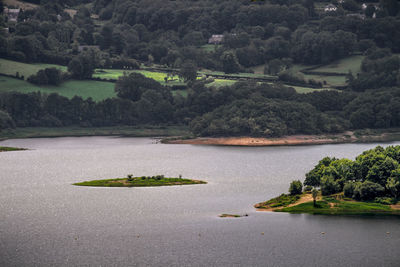 Scenic view of green tree