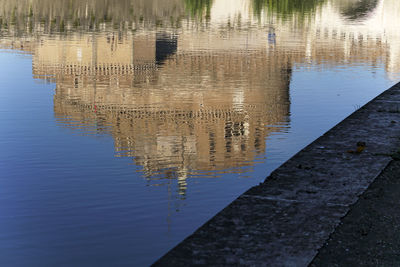 High angle view of duck swimming on lake