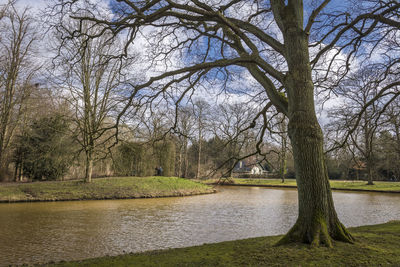 River amidst bare trees in park