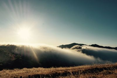 Sun shining over landscape