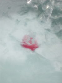 High angle view of woman floating on sea