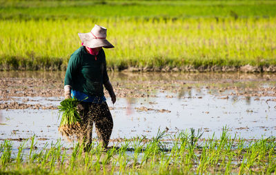 Full length of senior woman standing on rice field