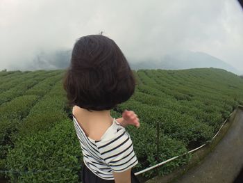 Rear view of woman standing by tea crops on farm