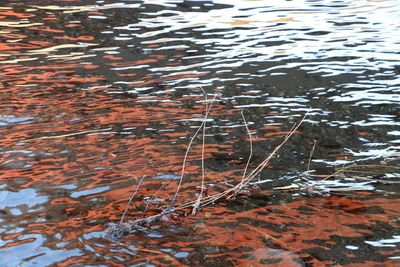 Close-up of water