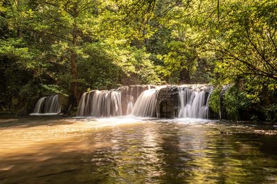 Waterfall in forest