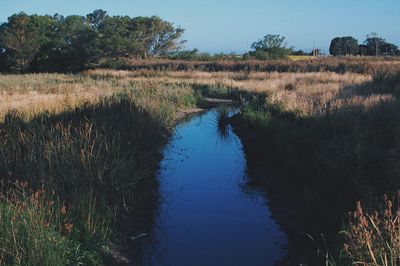 Scenic view of lake against clear blue sky
