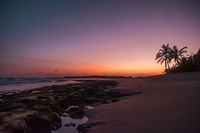 Sunrise over a tropical beach with palm trees