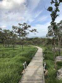 Boardwalk amidst trees on landscape against sky