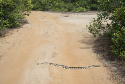 High angle view of dirt road