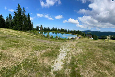 Panoramic shot of trees on field against sky