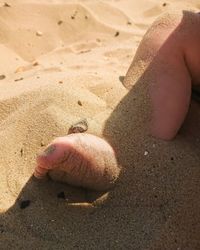 High angle view of human hand on sand