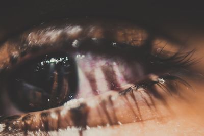 Close-up of human eye