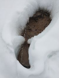 High angle view of ice cream in snow