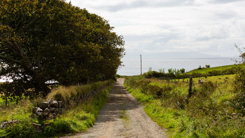 Road amidst trees against sky