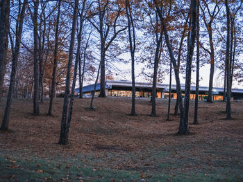 Trees on field during autumn