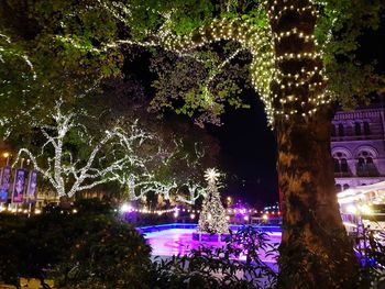 Illuminated christmas tree at night